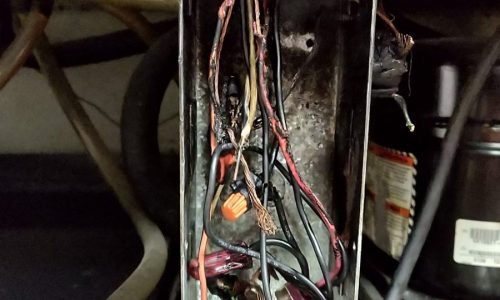 Refrigerator TRUE repair in San Jose, California – burned wires