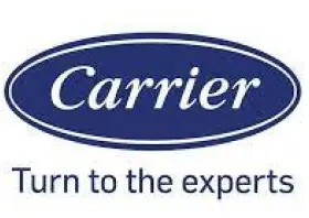 Carrier