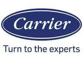 Carrier